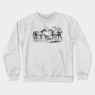 Horse Family Black & White Vintage Illustration Crewneck Sweatshirt